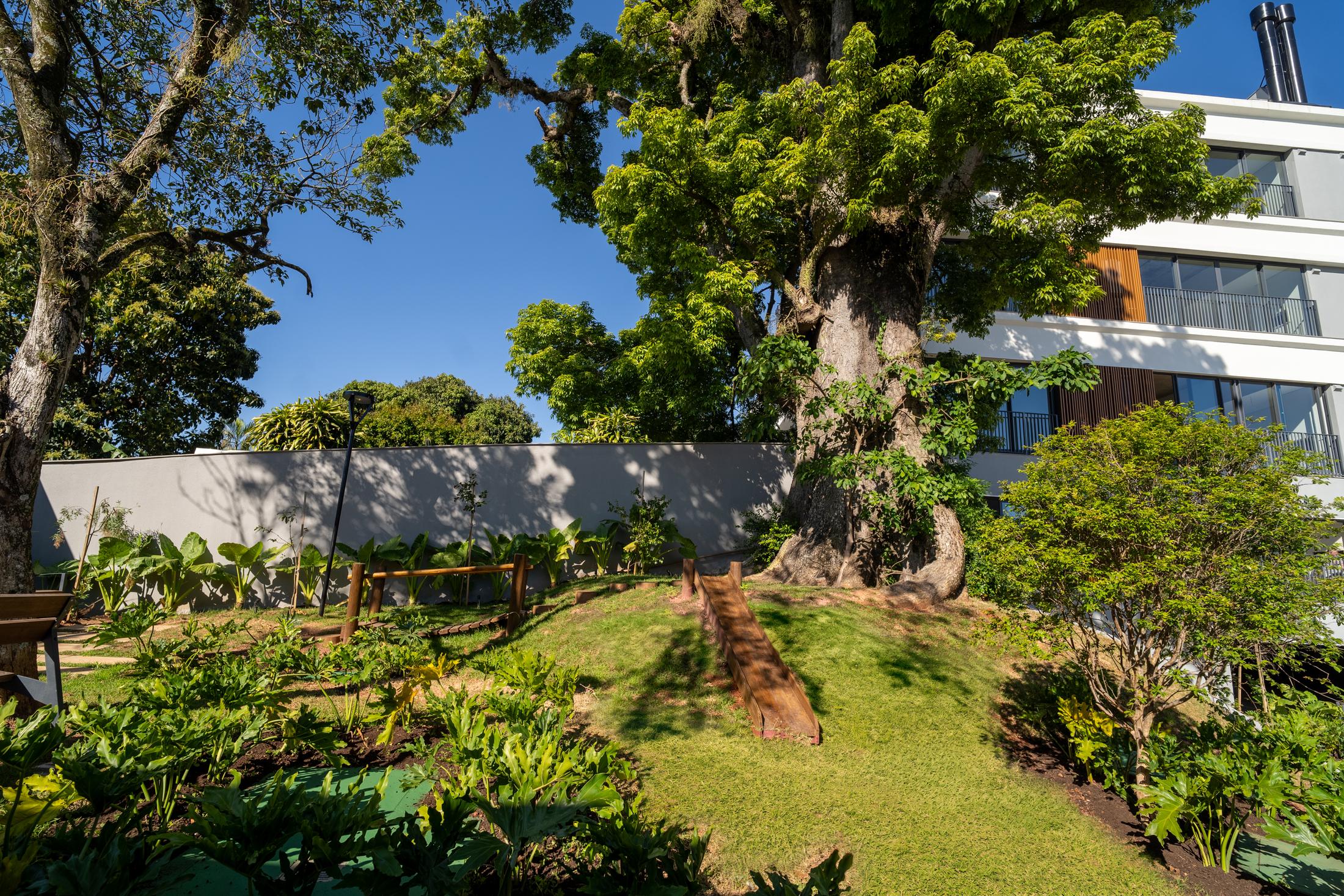 Jardim do Aria com gramado, caminhos e a paineira ao centro